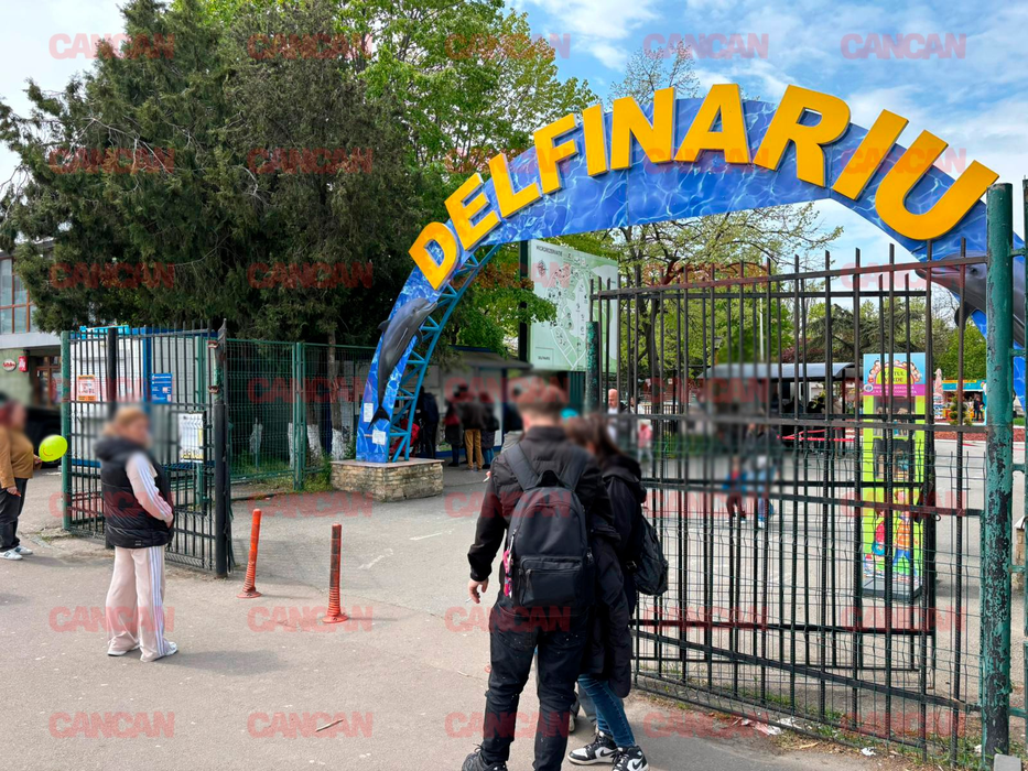 Cât costă un bilet la Delfinariu din Mamaia? Un adult trebuie să plătească aproape 75 de lei pentru a lua parte la o demonstrație