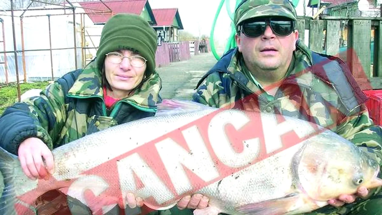 Razvan Tranca se refugiaza la Ploiesti