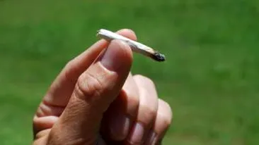 California ar putea deveni primul stat american care legalizeaza consumul si posesia de marijuana