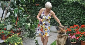 Galerie foto - poza 4