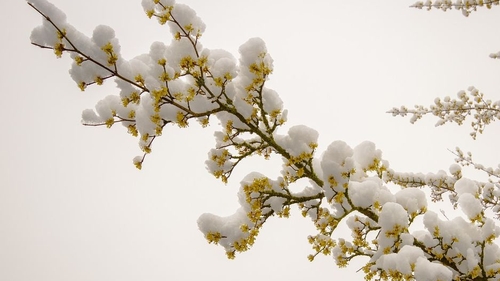 Prognoza meteo 21 martie: Vreme deosebit de rece în toată țara