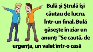 BANC | Bulă și Ștrulă își căutau de lucru