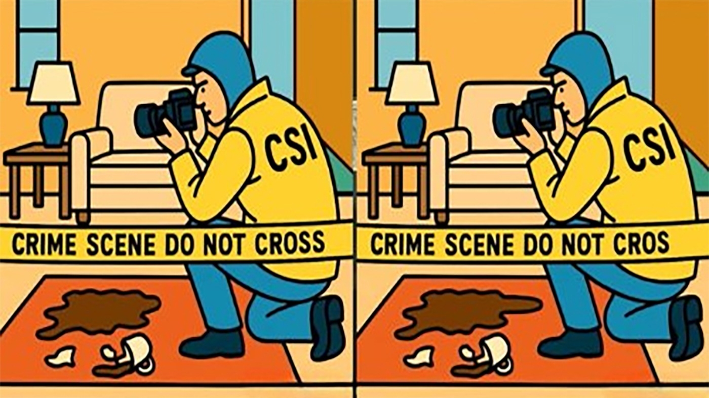 Test de logică | În maximum 31 de secunde, identificați toate cele 3 diferențe între aceste două imagini!