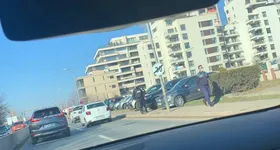 Galerie foto - poza 1