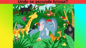 Test IQ | Numai geniile adevărate reușesc să vadă unde se ascunde brioșa, în doar 15 secunde!