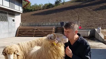 Cristian Pomohaci, acuzat de omor? „Nu am zis la nimeni acest lucru!”