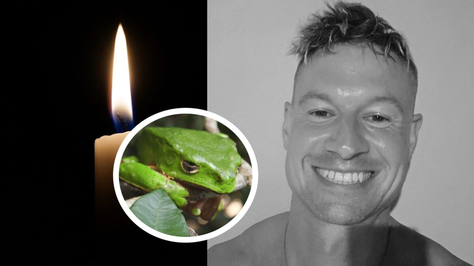 Un wellness coach a murit după ritualul cu venin de broască: politicienii îi cer lui Starmer să intervină