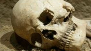 HORROR. Descoperirea socanta facuta de soldati in casa unui presedinte african