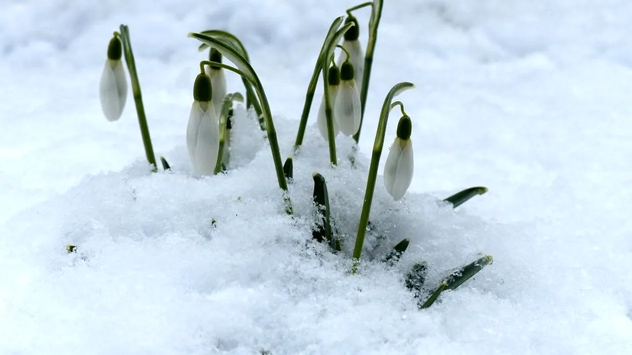 PROGNOZA METEO 1 MARTIE: Minime de -21 de grade la București!