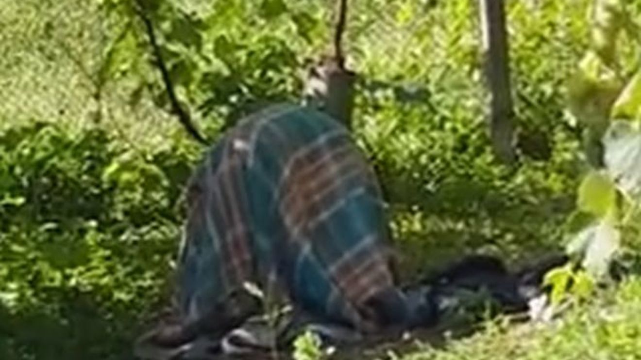 VIDEO - Imagini ŞOCANTE! O tânără din Ursaţi cu handicap, ţinută în lanţuri legată de un stâlp ca un animal 
