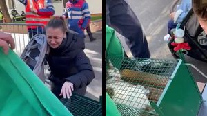 Revedere emoționantă după explozia din Rahova! Cum arată pisica salvată din catastrofă. A fost reunită cu familia ei