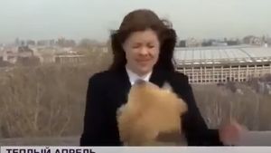 Clipul momentului pe internet. Un câine îi fură unui reporter microfonul, în transmisia live