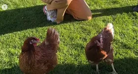 Galerie foto - poza 2