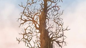 Iluzie optică virală | Ești un geniu dacă poți găsi toți cei 3 iepuri ascunși în această poză