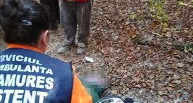 Galerie foto - poza 3