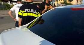 Galerie foto - poza 3