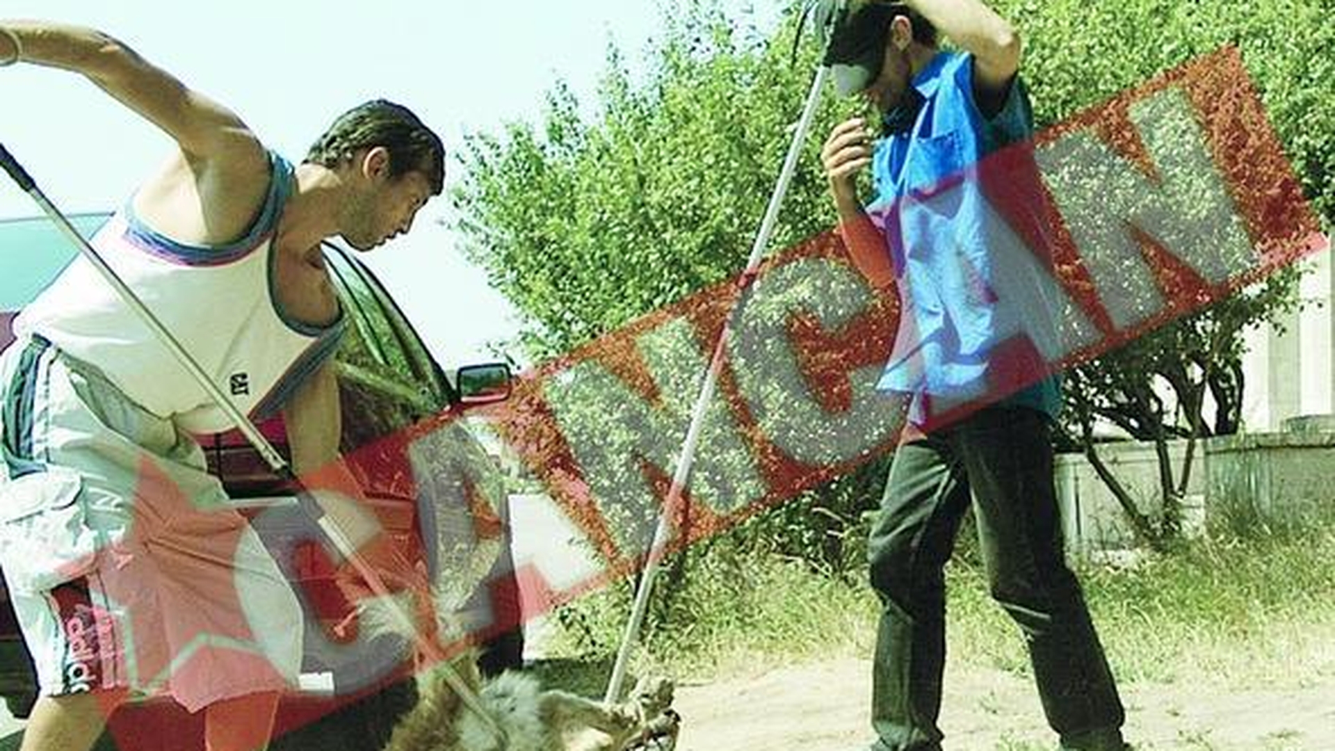 Meserii noi: Samponezele si prinzatorii de caini