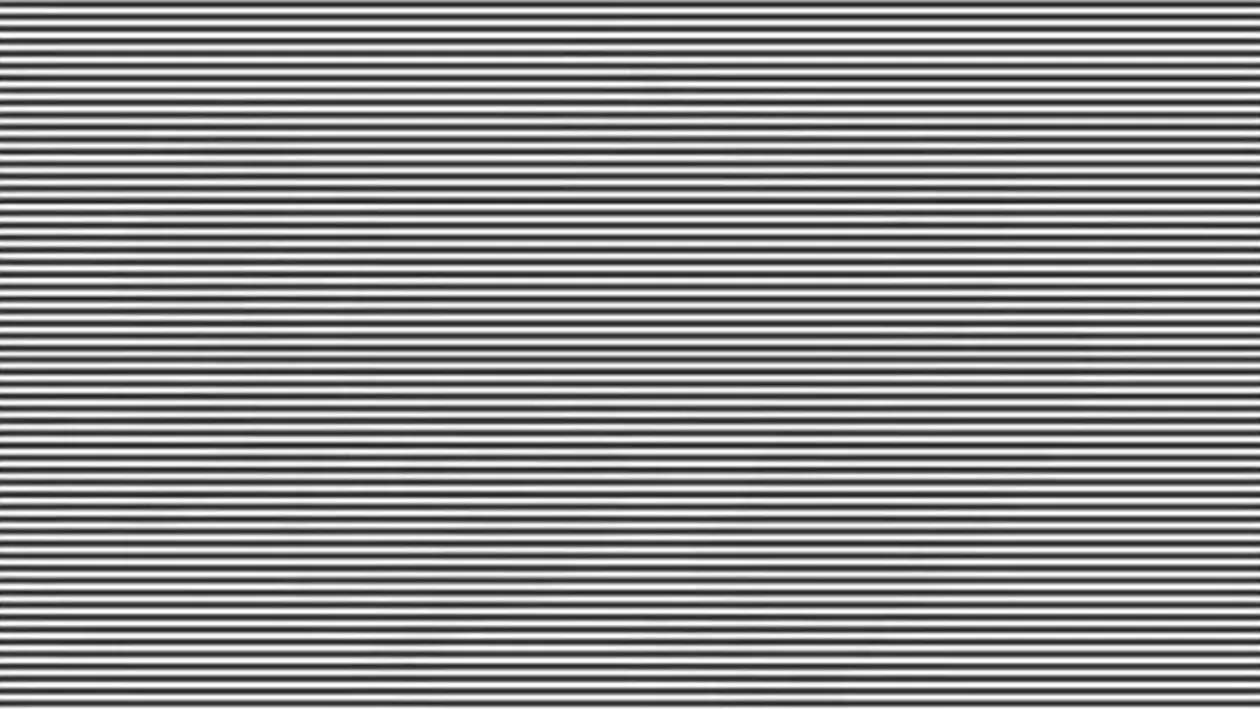 Iluzie optică virală | Ești un geniu dacă poți spune ce animal apare în această fotografie