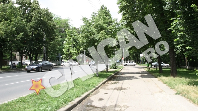 Bucurestenii vor face miscare in aer liber timp de noua weekenduri. Pe Kiseleff se opreste traficul pentru sport!