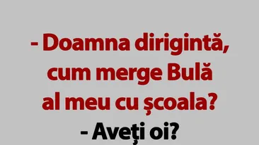 BANC | Doamna dirigintă, cum merge Bulă al meu cu școala?