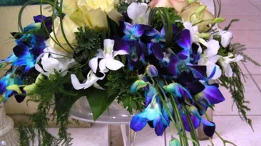 De plastic e fantastic! Calin Geambasu nu a cumparat niciodata flori naturale. Vezi motivul incredibil!