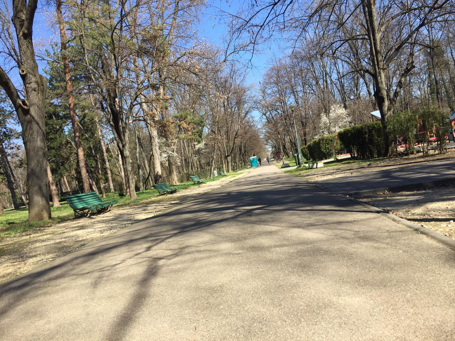 Aleile din parc sunt pustii