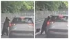 Turist rănit de urs pe Transfăgărășan. Autoritățile au emis Ro‑Alert