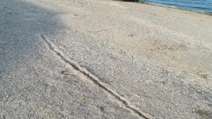 Aroganță de prost gust la Eforie Nord. A intrat cu mașina pe plajă și...