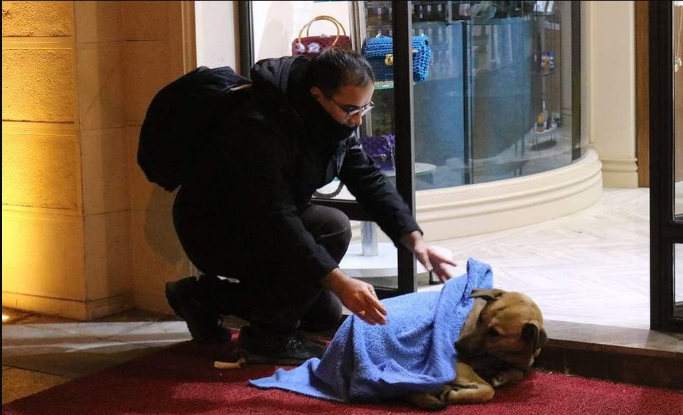 Îți dau lacrimile! Imagini emoționante cu medicul stomatolog care caută noaptea pe străzi câini și pisici pentru a le înveli
