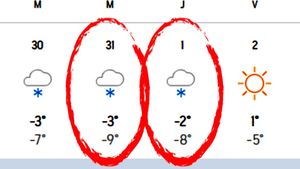 Care sunt orașele din România în care ninge de Revelion și de Anul Nou. Meteorologii Accuweather anunță iarnă grea