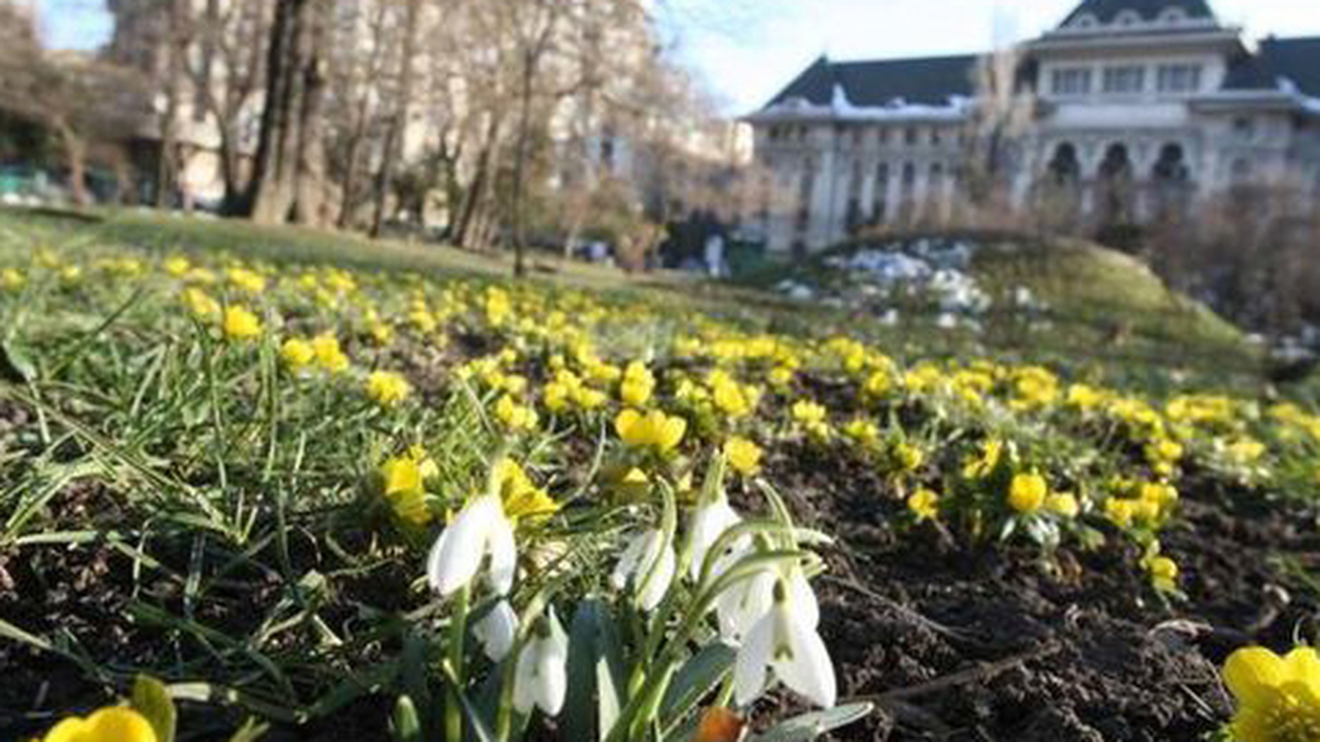 METEO 28 FEBRUARIE! Vremea va fi mult mai caldă