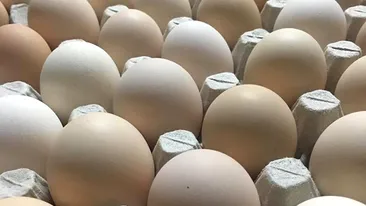 ALERTĂ! Aproximativ 300.000 de ouă contaminate cu otravă de purici au fost vândute în patru județe și în Capitală
