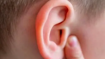 Care parte a corpului uman nu are niciun scop biologic?