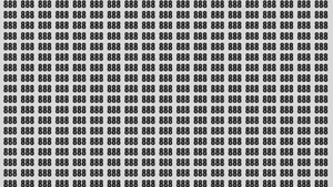 Test de perspicacitate | Găsiți numărul 808 ascuns printre 888 din imagine