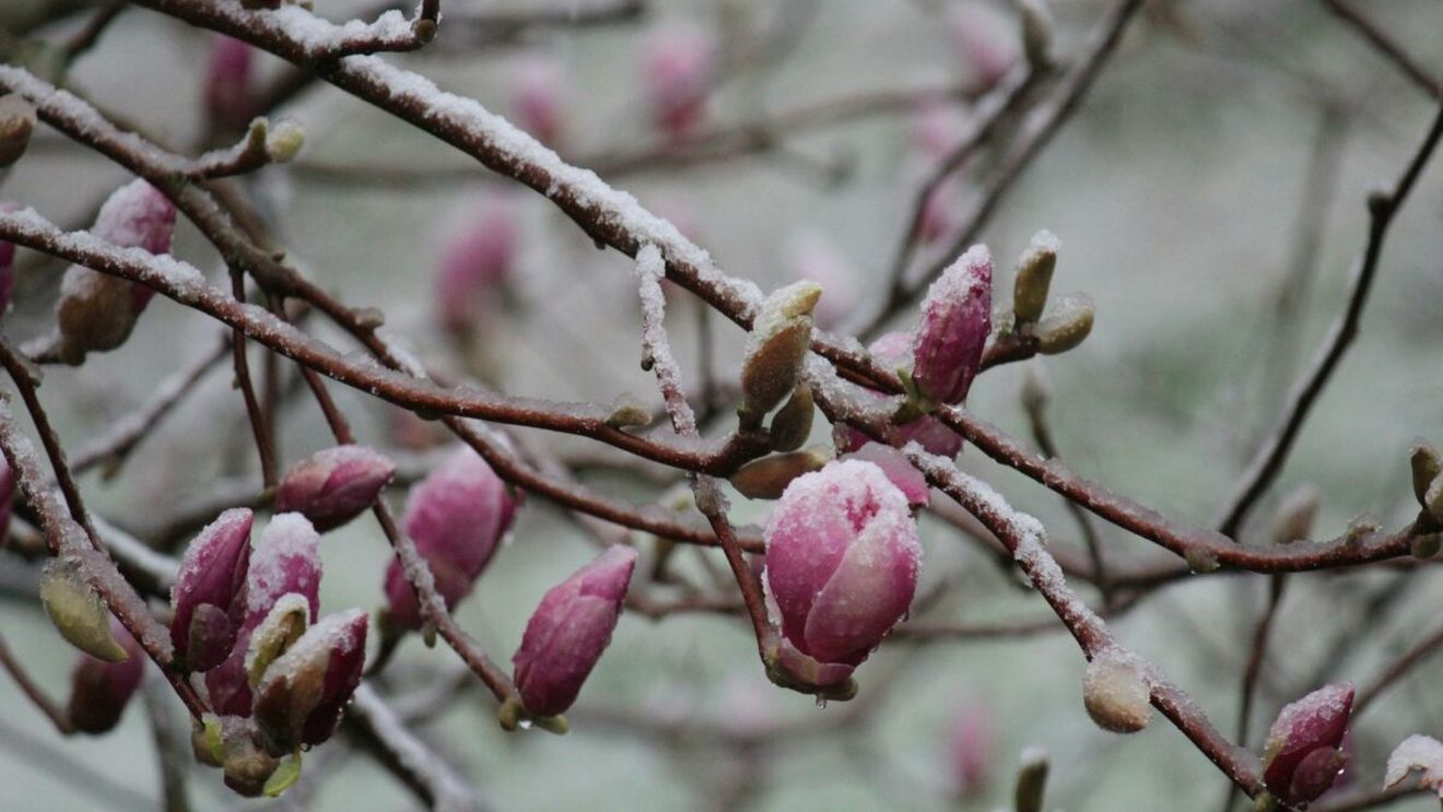 Prognoza meteo azi, 17 martie 2026. Răcire în Transilvania: temperaturi aproape de îngheț în depresiunile montane