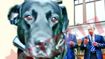 Putin isi tine cateaua flamanda