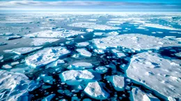 VIAȚA a existat în Oceanul Arctic chiar și în erele GLACIARE!