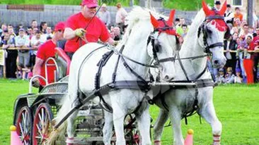 Concurs de trasuri-viteza