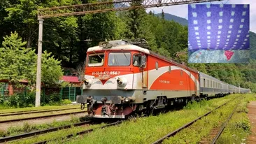 Ploșnițe într-un tren CFR care circula pe ruta Arad-București. Imagini revoltătoare surprinse de un călător. „Ia uite-le”