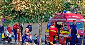 Galerie foto - poza 3