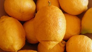 Ce se întâmplă dacă îngropi coajă de lămâie în ghiveci sau în grădină. Truc extrem de util pentru grădinari