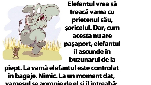 BANC | Elefantul vrea să treacă vama cu prietenul său, şoricelul