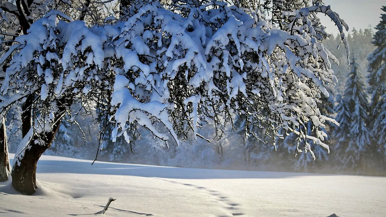 Avertizare ANM! Cod galben de ninsori în România. Zonele vizate