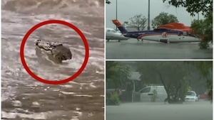 Imagini apocaliptice în Australia, după inundațiile fără precedent. Crocodilii au ajuns pe străzile orașului, iar aeroportul a fost inundat