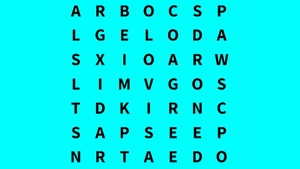 Test de inteligență | Identificați cuvântul "cobra" în acest puzzle!