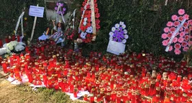 Galerie foto - poza 4