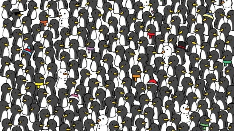 Test de perspicacitate | Doar 1 dintre 500 de oameni poate identifica 3 pisici printre pinguinii din imagine