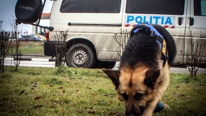Ionela Gina Străchinariu, o fată de 14 ani din Botoșani, lipsește de acasă de 6 zile. Poliția oferă semnalmentele adolescentei