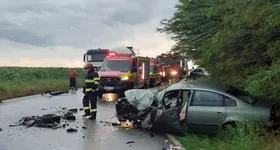 Galerie foto - poza 3