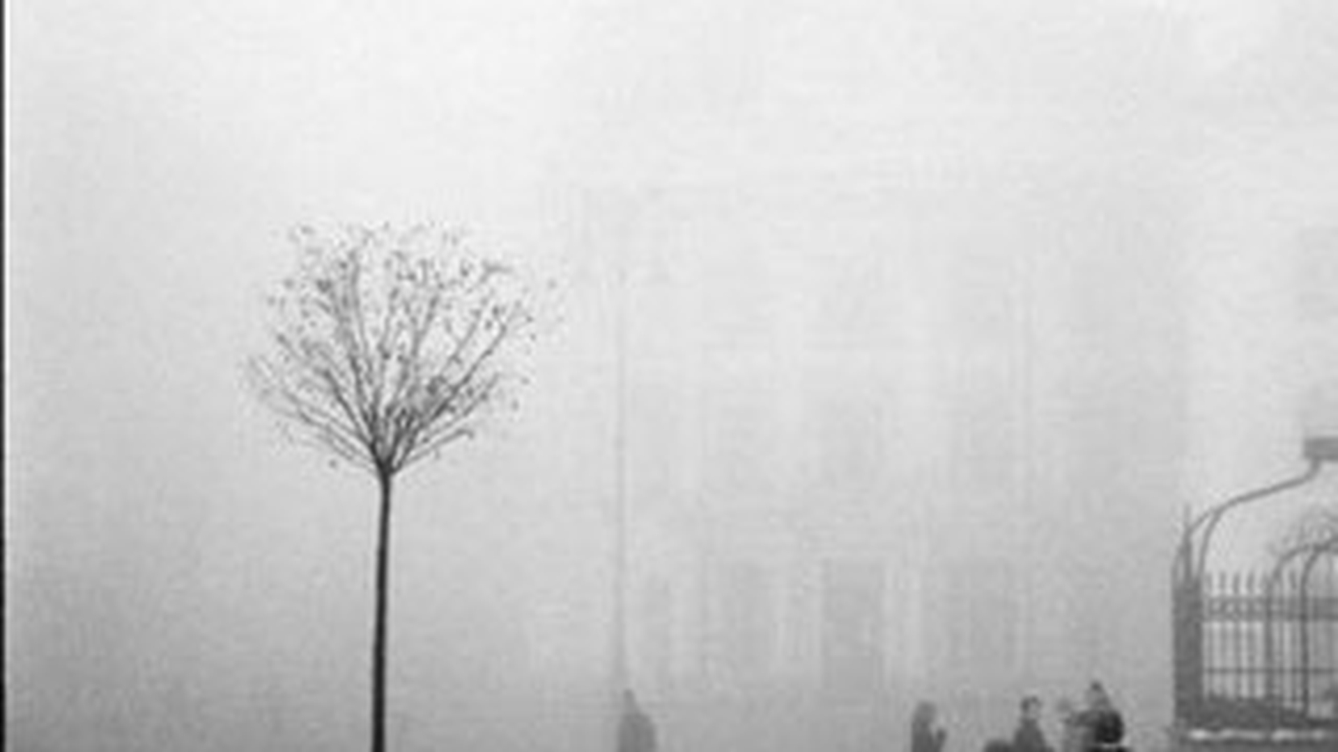 Meteorologii au emis avertizare de ceata pentru Bucuresti, A2 si alte sase judete